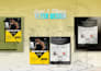 design a professional flyer or poster in canva